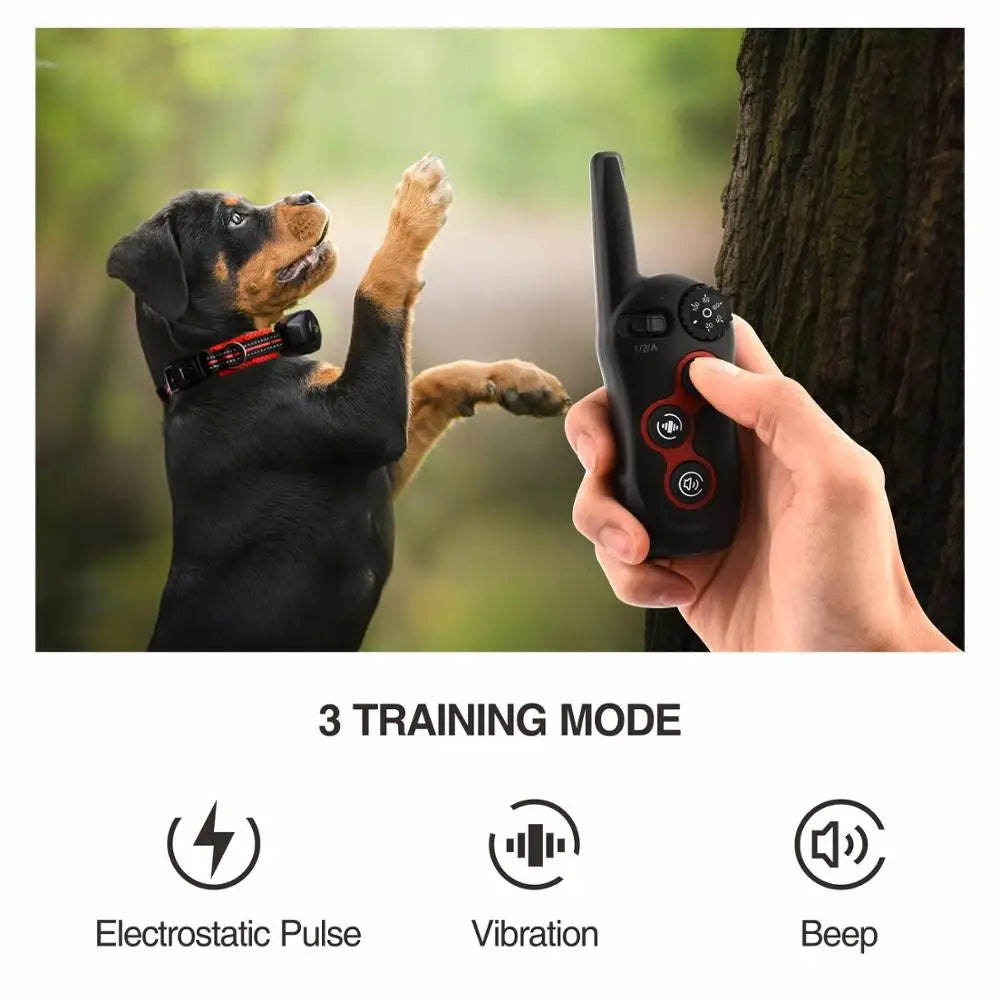 2 in 1 Dog Training Collar & Anti Bark Collar