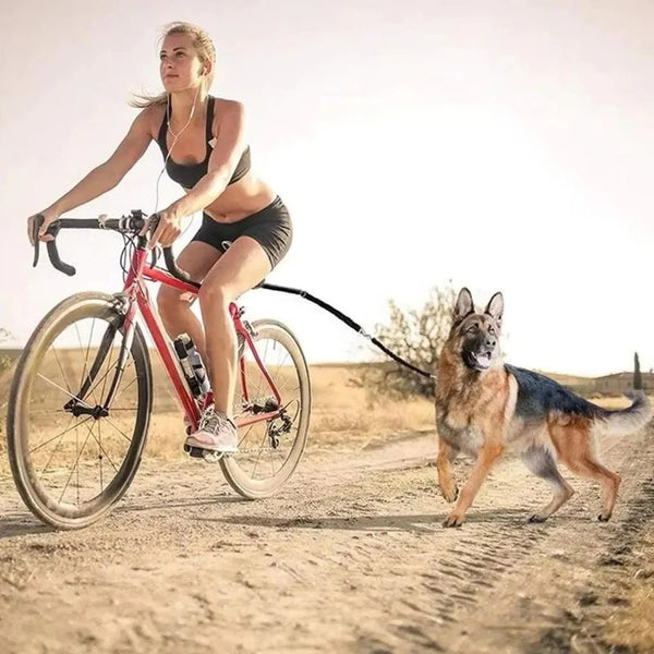 Bike Dog Tow Leash