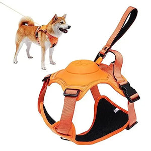 Dog Harness and Retractable Leash Set All-in-One