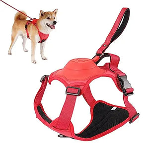 Dog Harness and Retractable Leash Set All-in-One